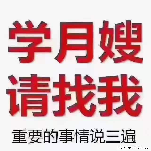 为什么要学习月嫂,育婴师? - 其他广告 - 广告专区 - 湘西分类信息 - 湘西28生活网 xiangxi.28life.com