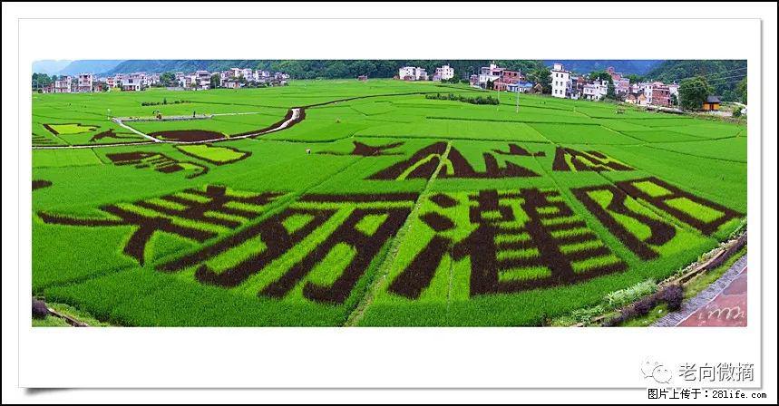 【春天,广西桂林灌阳县向您发出邀请!】开篇 - 游山玩水 - 湘西生活社区 - 湘西28生活网 xiangxi.28life.com