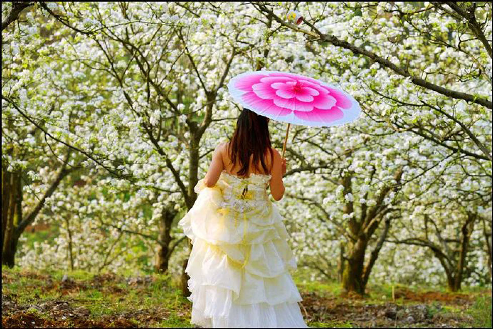 【春天，广西桂林灌阳县向您发出邀请！】我们在灌阳看梨花 - 游山玩水 - 湘西生活社区 - 湘西28生活网 xiangxi.28life.com