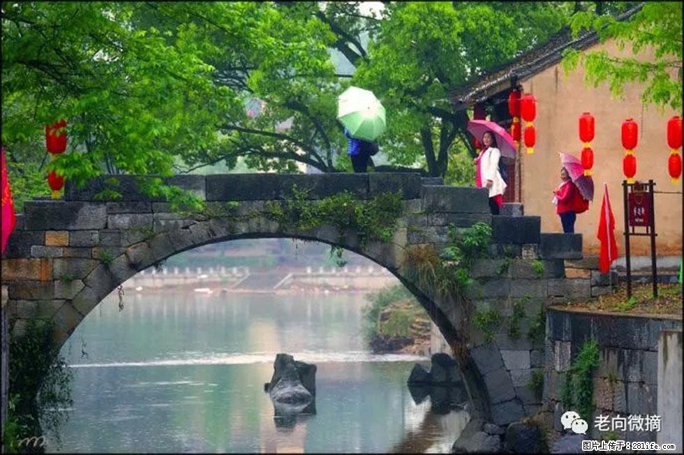 【春天，广西桂林灌阳县向您发出邀请！】江口老街又逢春 - 游山玩水 - 湘西生活社区 - 湘西28生活网 xiangxi.28life.com