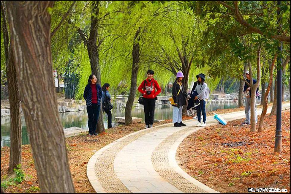 【春天，广西桂林灌阳县向您发出邀请！】江口老街又逢春 - 游山玩水 - 湘西生活社区 - 湘西28生活网 xiangxi.28life.com