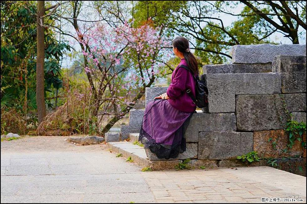 【春天，广西桂林灌阳县向您发出邀请！】江口老街又逢春 - 游山玩水 - 湘西生活社区 - 湘西28生活网 xiangxi.28life.com