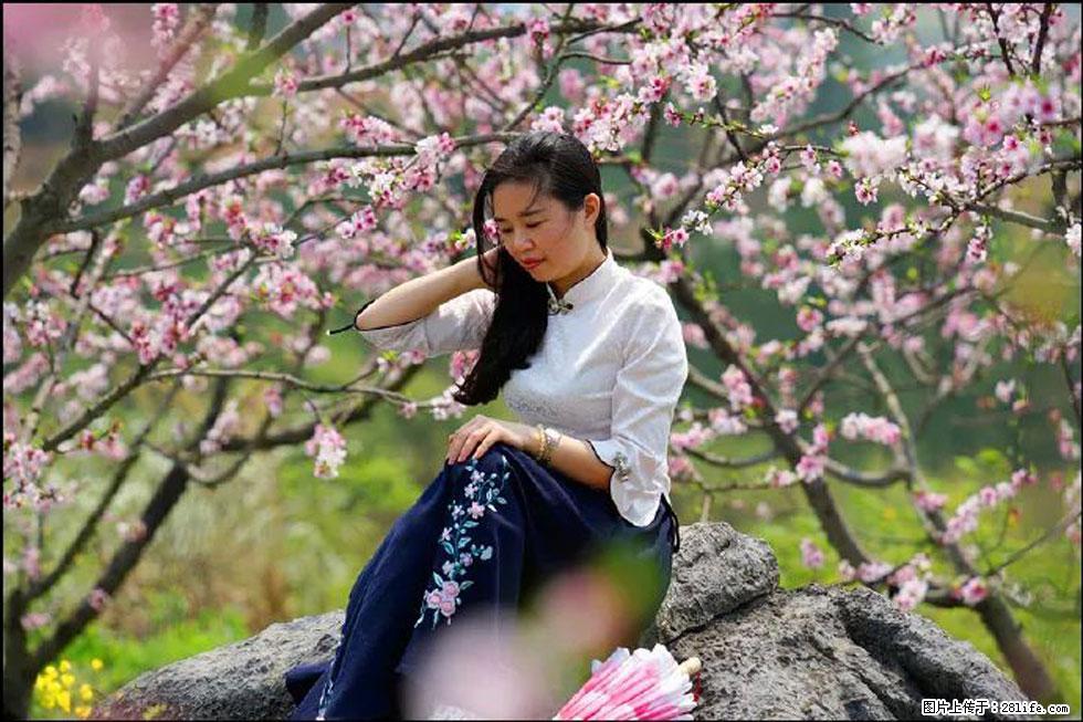 【春天，广西桂林灌阳县向您发出邀请！】望月岭上桃花开 - 游山玩水 - 湘西生活社区 - 湘西28生活网 xiangxi.28life.com