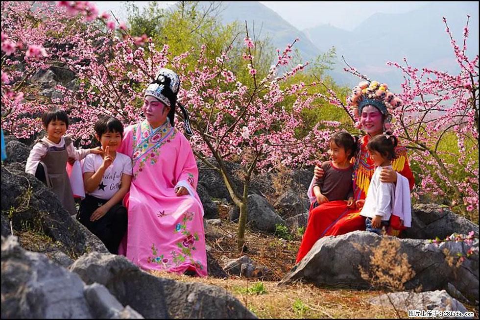 【春天，广西桂林灌阳县向您发出邀请！】望月岭上桃花开 - 游山玩水 - 湘西生活社区 - 湘西28生活网 xiangxi.28life.com