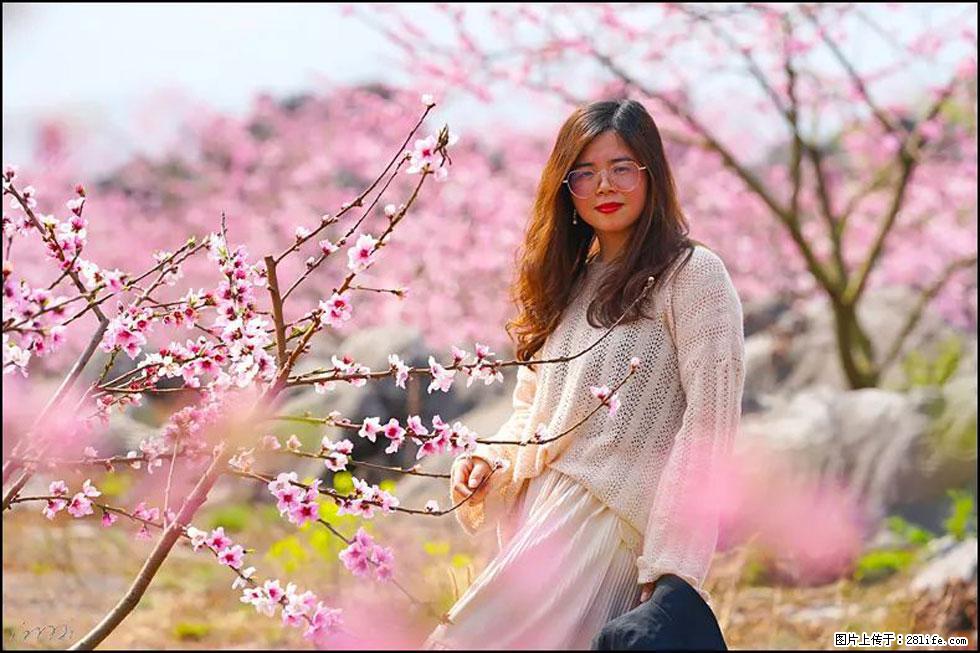 【春天，广西桂林灌阳县向您发出邀请！】望月岭上桃花开 - 游山玩水 - 湘西生活社区 - 湘西28生活网 xiangxi.28life.com