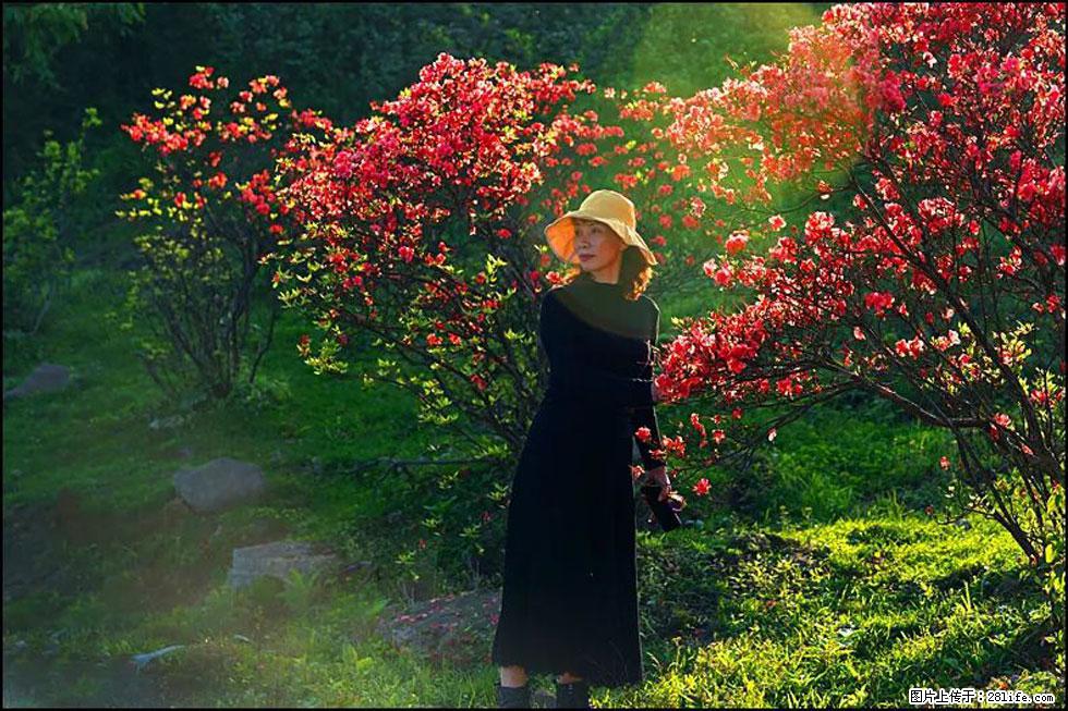 【春天，广西桂林灌阳县向您发出邀请！】春木界上映山红 - 游山玩水 - 湘西生活社区 - 湘西28生活网 xiangxi.28life.com