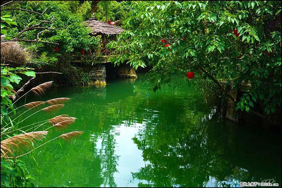 【春天，广西桂林灌阳县向您发出邀请！】如梦似幻莲溪庐 - 游山玩水 - 湘西生活社区 - 湘西28生活网 xiangxi.28life.com