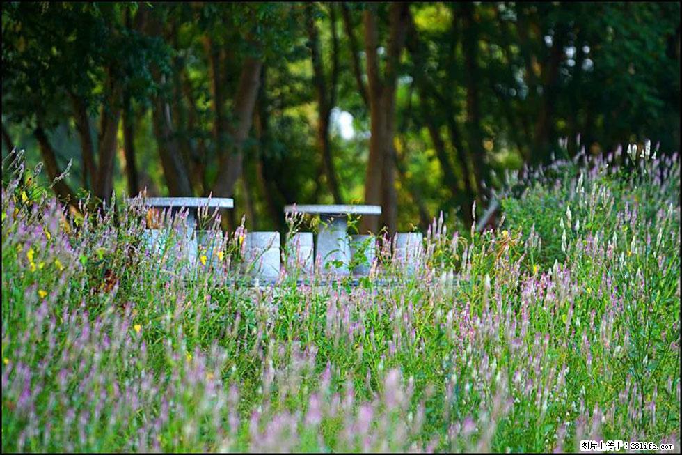 【春天,广西桂林灌阳县向您发出邀请!】熊家寨湿地公园 - 游山玩水 - 湘西生活社区 - 湘西28生活网 xiangxi.28life.com