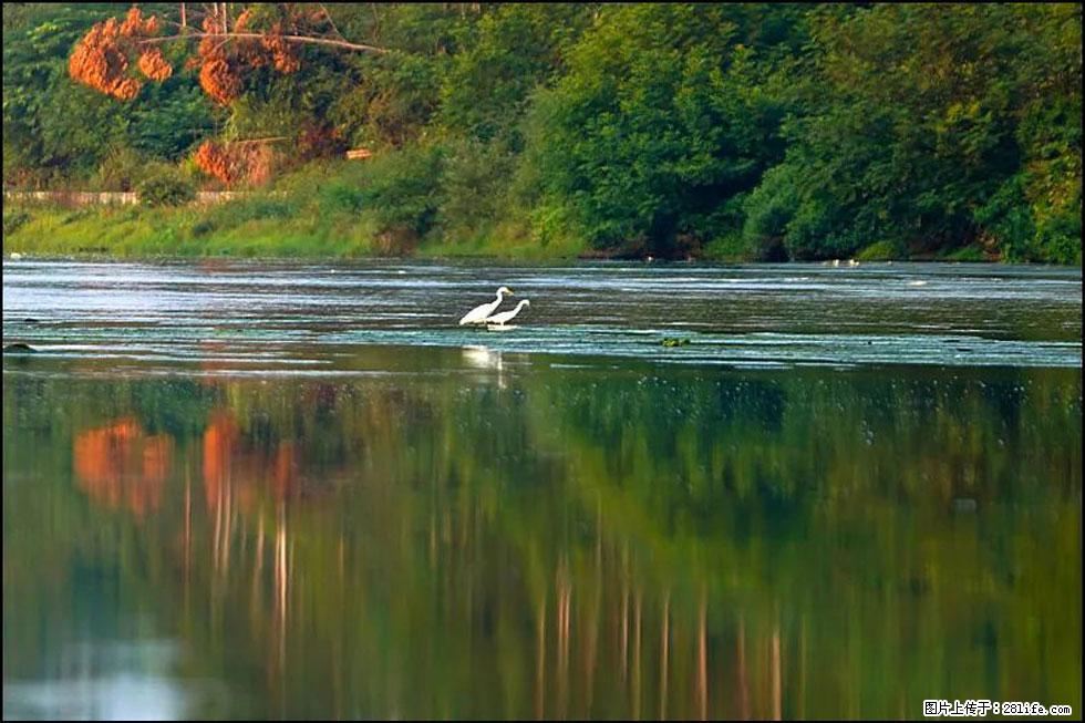 【春天,广西桂林灌阳县向您发出邀请!】熊家寨湿地公园 - 游山玩水 - 湘西生活社区 - 湘西28生活网 xiangxi.28life.com