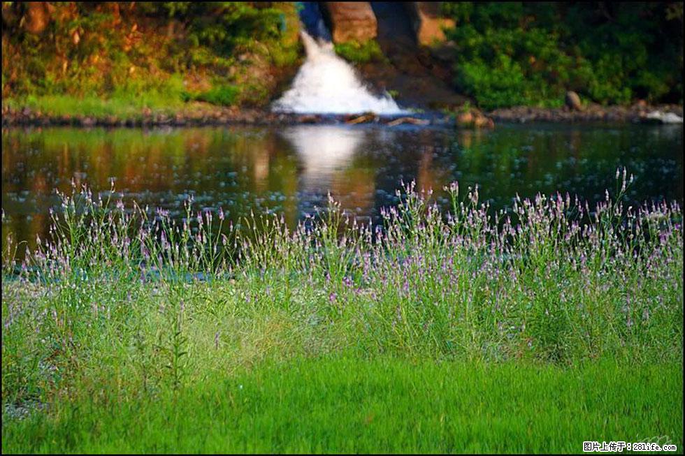 【春天,广西桂林灌阳县向您发出邀请!】熊家寨湿地公园 - 游山玩水 - 湘西生活社区 - 湘西28生活网 xiangxi.28life.com