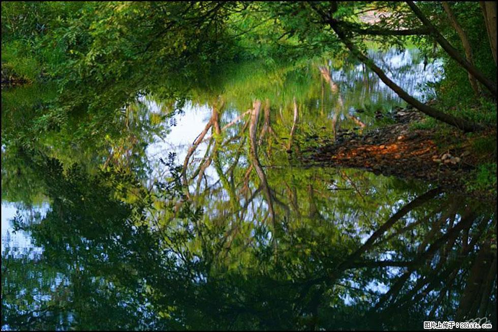 【春天,广西桂林灌阳县向您发出邀请!】熊家寨湿地公园 - 游山玩水 - 湘西生活社区 - 湘西28生活网 xiangxi.28life.com