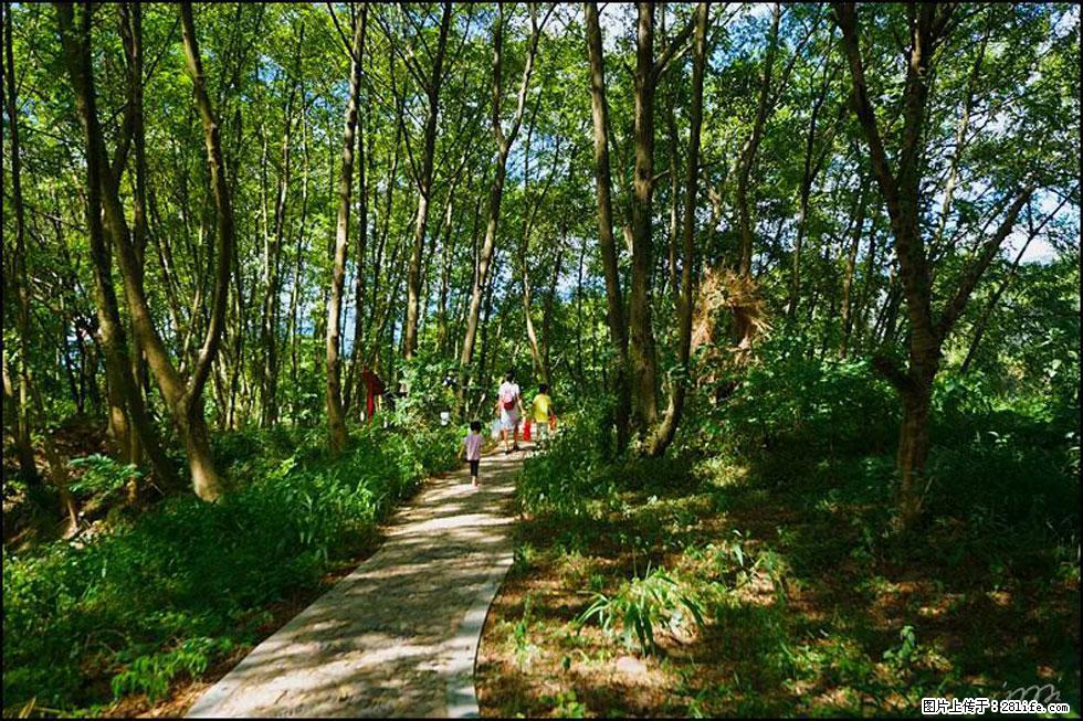 【春天,广西桂林灌阳县向您发出邀请!】熊家寨湿地公园 - 游山玩水 - 湘西生活社区 - 湘西28生活网 xiangxi.28life.com