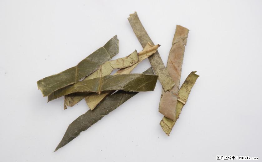 苦丁茶有哪些功效和作用 - 生活百科 - 湘西生活社区 - 湘西28生活网 xiangxi.28life.com