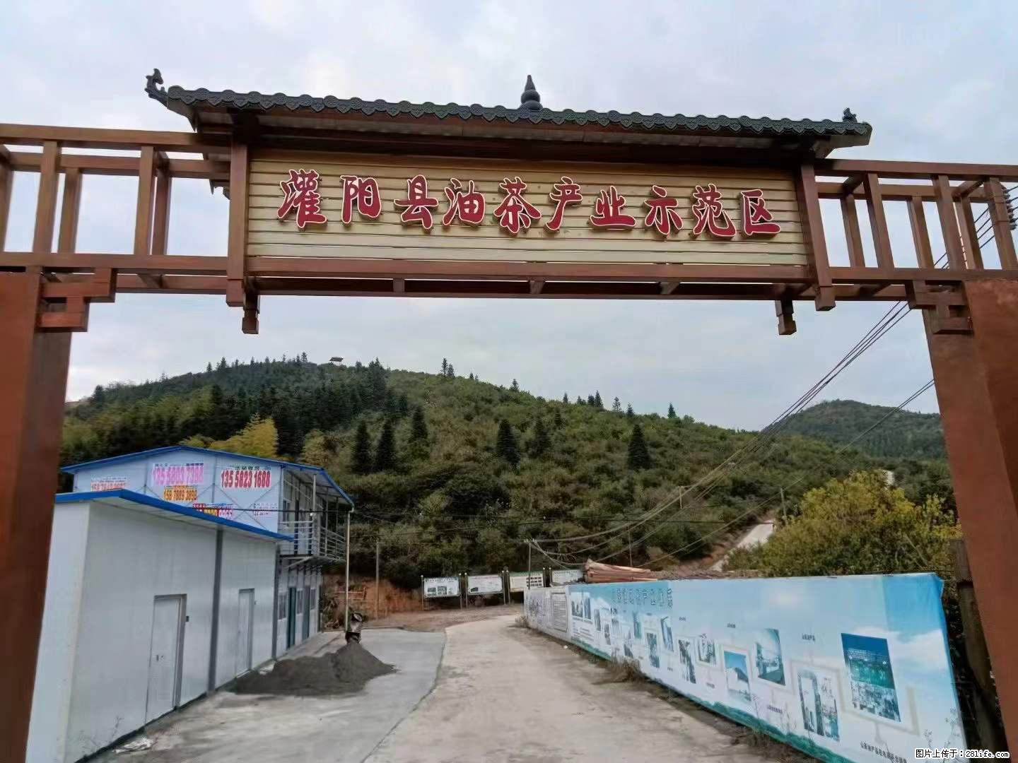 【灌阳县油茶产业示范区】一个有着充实的精神生活的人,对待身外之物自会有一种淡泊的态度 - 土特产 - 饮食特产 - 湘西分类信息 - 湘西28生活网 xiangxi.28life.com