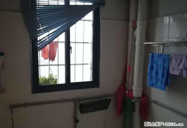 乐家房产 财信 两室两厅 精装修 这价格相当于一室一厅了 - 房屋出租 - 房屋租售 - 湘西分类信息 - 湘西28生活网 xiangxi.28life.com