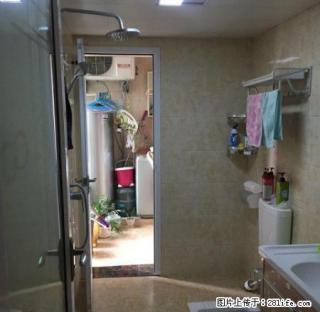 新天地步步高 全新精装修 初次出租 拎包入住 - 湘西28生活网 xiangxi.28life.com