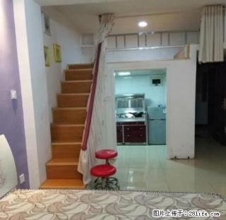 乐家房产西环路 福景花园 精装，精装出租啦 拧包入住 - 湘西28生活网 xiangxi.28life.com