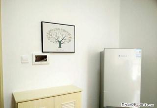 乐家房产市政府附近 精装修一室一厅 - 湘西28生活网 xiangxi.28life.com