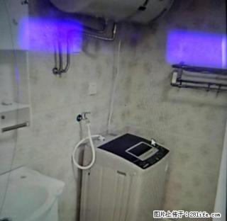 世介房产中心地带财信电梯1室1厅精装拎包入住 - 湘西28生活网 xiangxi.28life.com