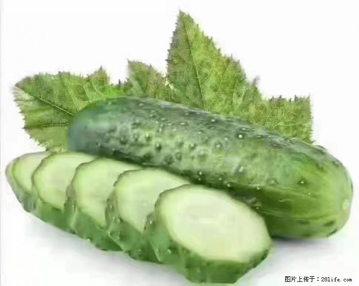 【生活小常识】吃黄瓜的好处 - 生活百科 - 湘西生活社区 - 湘西28生活网 xiangxi.28life.com