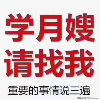 【招聘】月嫂，上海徐汇区 - 湘西28生活网 xiangxi.28life.com