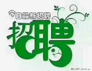 上海青浦区招仓管 - 湘西28生活网 xiangxi.28life.com