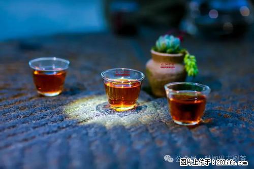 时间果百年古树2025年春红茶 - 购物交流 - 湘西生活社区 - 湘西28生活网 xiangxi.28life.com