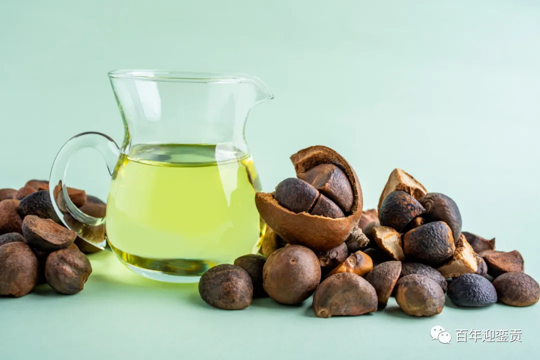 世界没有真相，只有认知，最好的食用油是中国的山茶油！ - 湘西生活资讯 - 湘西28生活网 xiangxi.28life.com