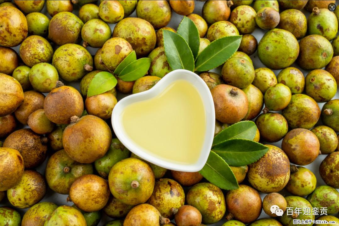 世界没有真相，只有认知，最好的食用油是中国的山茶油！ - 湘西生活资讯 - 湘西28生活网 xiangxi.28life.com