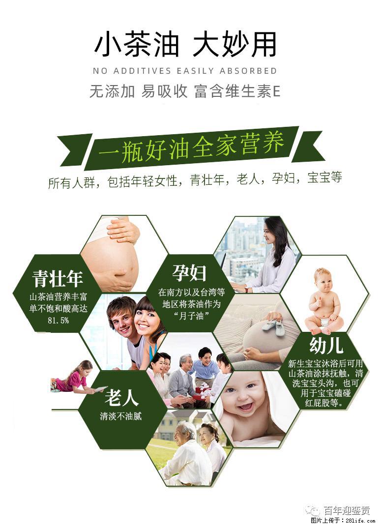 世界没有真相，只有认知，最好的食用油是中国的山茶油！ - 湘西生活资讯 - 湘西28生活网 xiangxi.28life.com