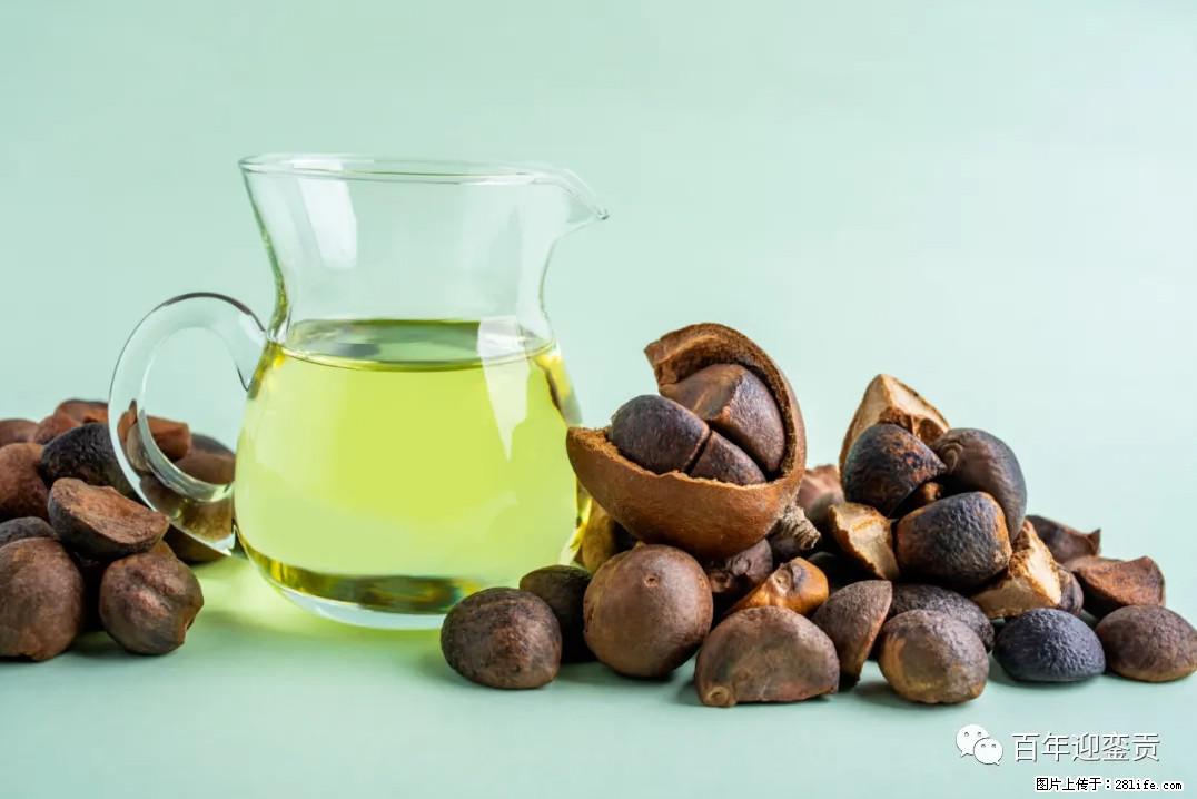 世界没有真相，只有认知，最好的食用油是中国的山茶油！ - 湘西生活资讯 - 湘西28生活网 xiangxi.28life.com