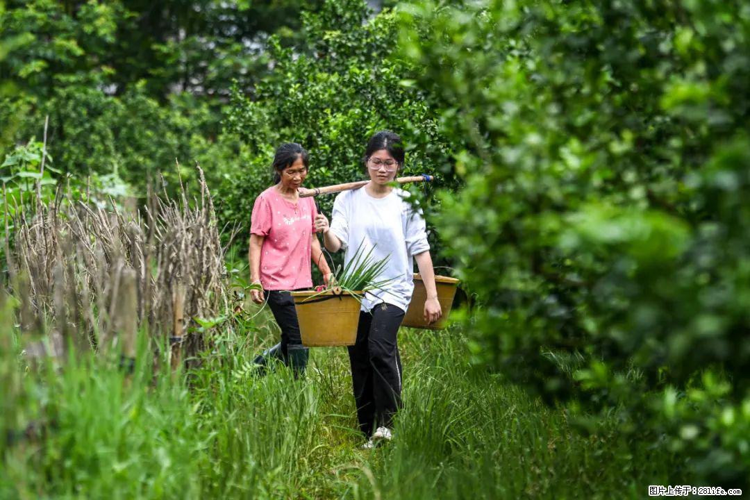 全网追的“扁担女孩”，找了一份暑假工，时薪12元 - 湘西生活资讯 - 湘西28生活网 xiangxi.28life.com