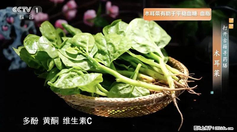 比牛奶补钙还厉害！凉血解毒、稳血糖...这菜冬天必吃，很多人却当草 - 湘西生活资讯 - 湘西28生活网 xiangxi.28life.com