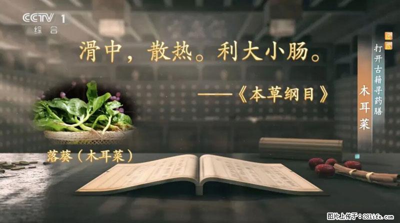 比牛奶补钙还厉害！凉血解毒、稳血糖...这菜冬天必吃，很多人却当草 - 湘西生活资讯 - 湘西28生活网 xiangxi.28life.com