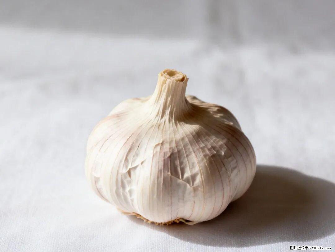 关于大蒜，除了“天然抗生素”，这4个谣言更该警惕! - 湘西生活资讯 - 湘西28生活网 xiangxi.28life.com